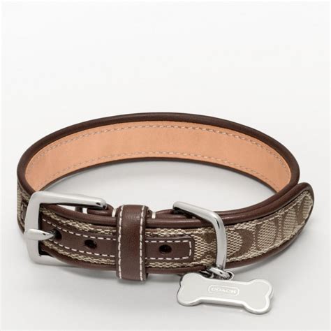 coach pet collar.